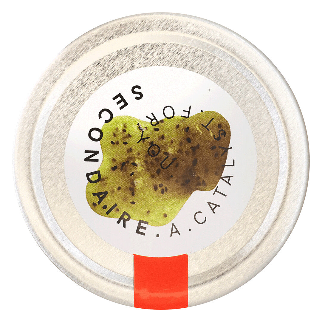 Secondaire - Kiwi Jam